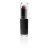 Wet N Wild Megalast Lip Color E917b Cinnamon Spice