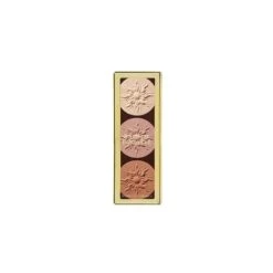 PHYSICIANS FORMULA Bronze Booster Highlight & Contour Palette Fard + Illuminanti Matte Sculpting 6810E